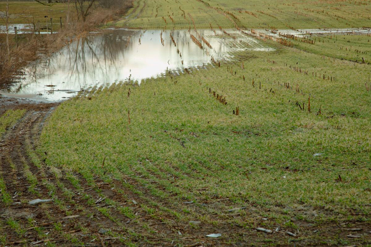 A flooded field.